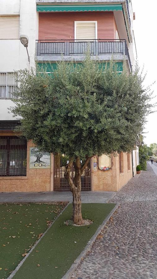 Fantastico Apartamento Junto A La Juderia Cordoba Dış mekan fotoğraf